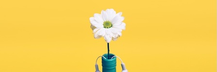 Energie update Gele Mens levenspad 11-23 maart 2026: Aandacht voor groeikracht