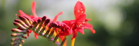 Energy update Red Dragon Life Path December 10-22, 2025: New Beginnings